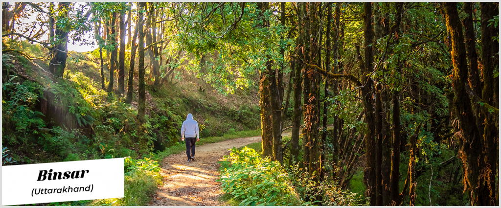 winter travel in India
