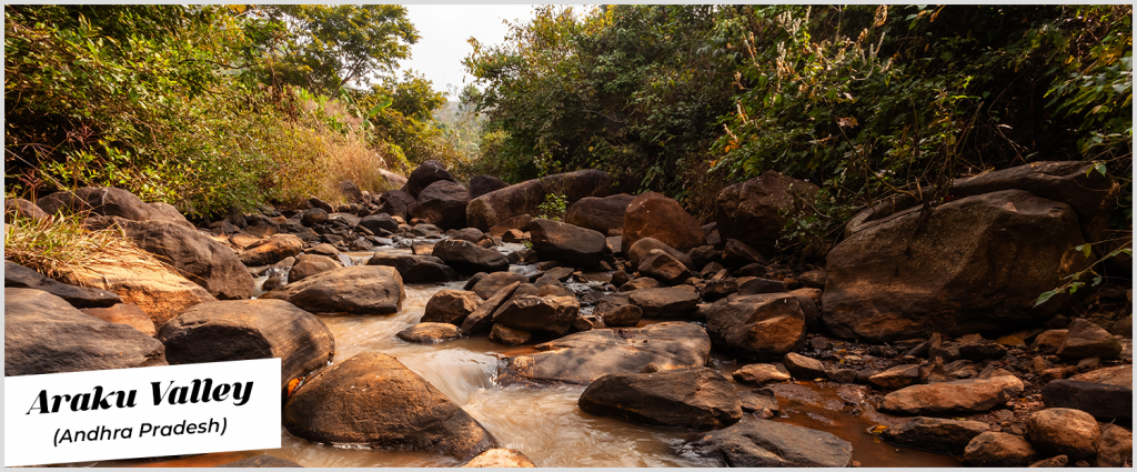 winter travel in India