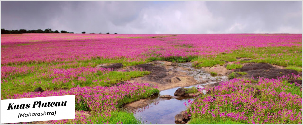 best places to visit in winter in India