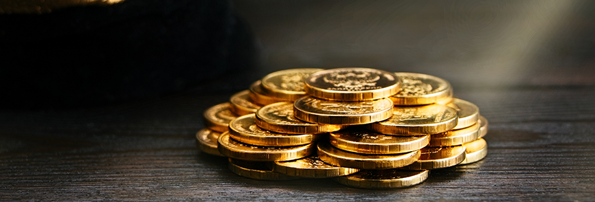 Malabar Gold Coin