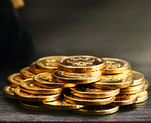 Malabar Gold Coin