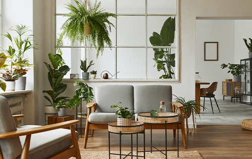 Home Centre Online